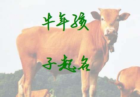 2021牛年男宝宝最佳取名_宝宝姓刘取什么名字好,第2张 2021牛年男宝宝最佳取名_宝宝姓刘取什么名字好,第2张